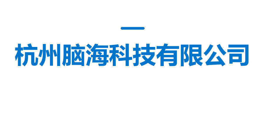 杭州脑海科技有限公司